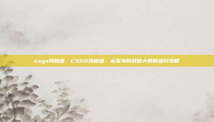 csgo风格图,CSGO风格图,从菜鸟到武器大师的进阶攻略