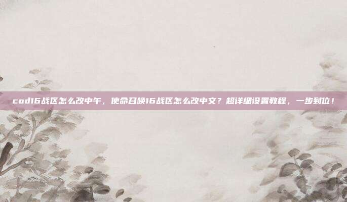 cod16战区怎么改中午,使命召唤16战区怎么改中文?超详细设置教程,一步到位!
