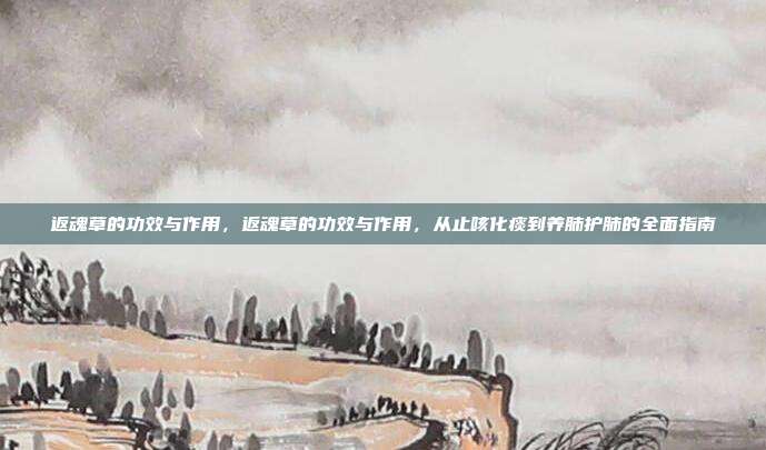 返魂草的功效与作用,返魂草的功效与作用,从止咳化痰到养肺护肺的全面指南