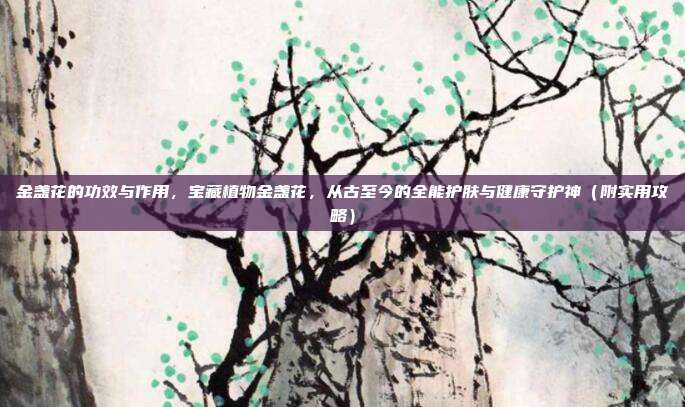 金盏花的功效与作用,宝藏植物金盏花,从古至今的全能护肤与健康守护神(附实用攻略)