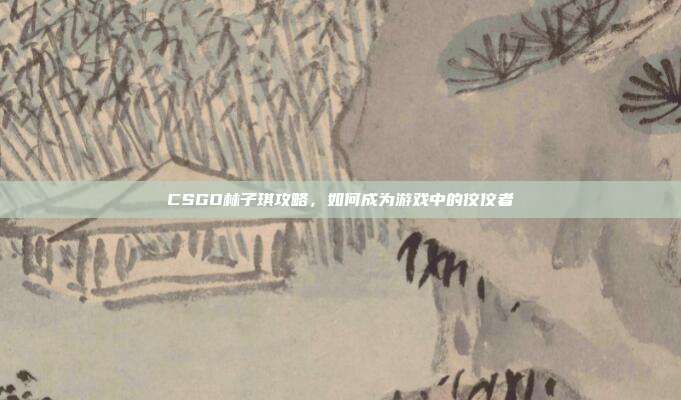 CSGO林子琪攻略,如何成为游戏中的佼佼者
