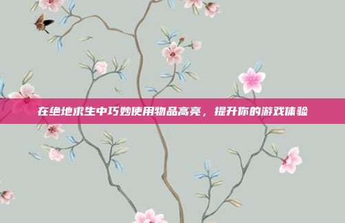 在绝地求生中巧妙使用物品高亮,提升你的游戏体验