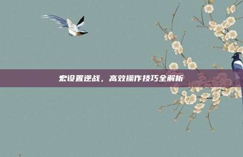 宏设置逆战,高效操作技巧全解析