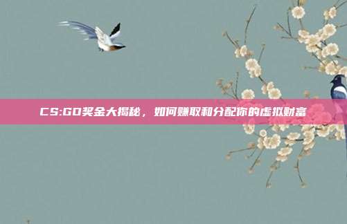 CS:GO奖金大揭秘,如何赚取和分配你的虚拟财富