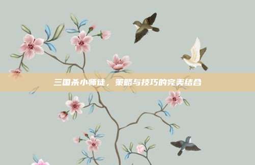 三国杀小师徒,策略与技巧的完美结合