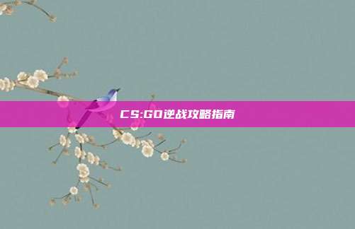 CS:GO逆战攻略指南
