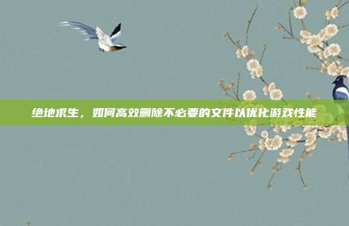 绝地求生,如何高效删除不必要的文件以优化游戏性能