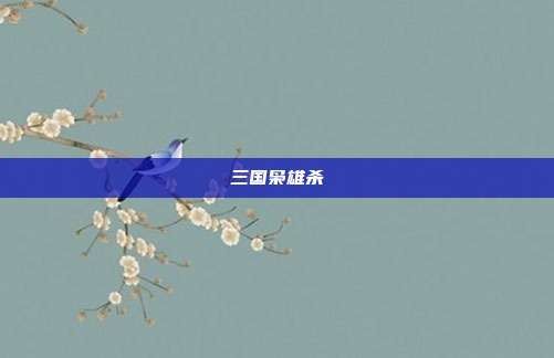 三国枭雄杀