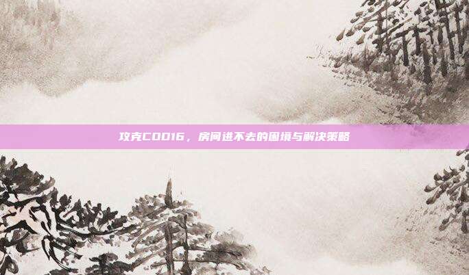 攻克COD16,房间进不去的困境与解决策略