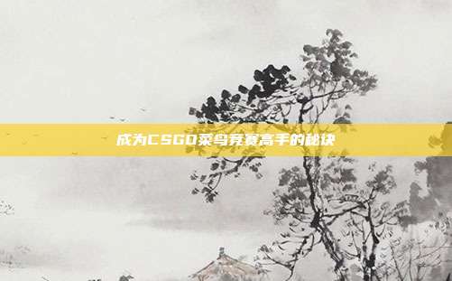 成为CSGO菜鸟竞赛高手的秘诀