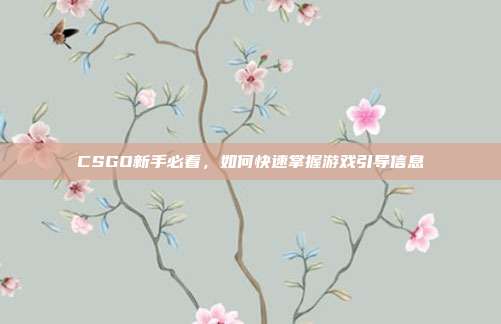 CSGO新手必看,如何快速掌握游戏引导信息