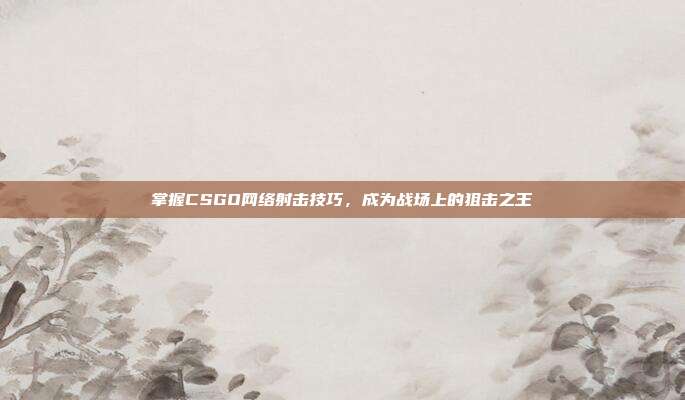 掌握CSGO网络射击技巧,成为战场上的狙击之王