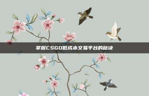 掌握CSGO低成本交易平台的秘诀