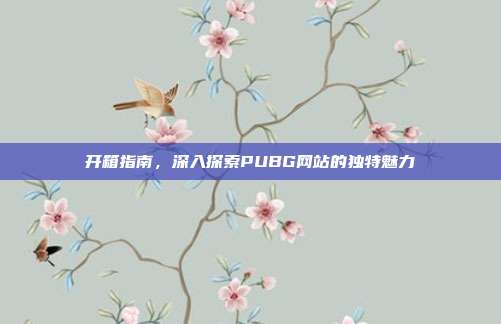 开箱指南,深入探索PUBG网站的独特魅力