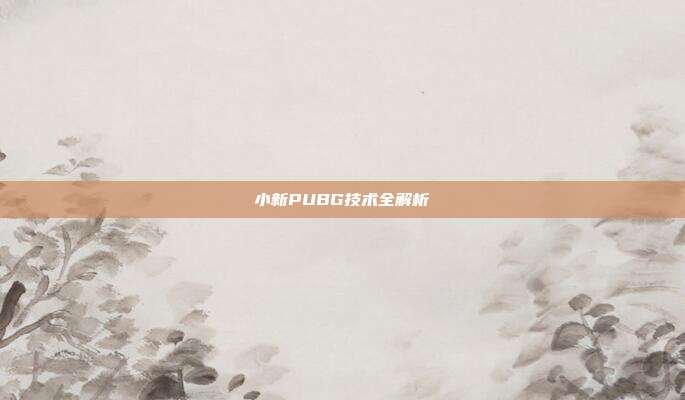 小新PUBG技术全解析