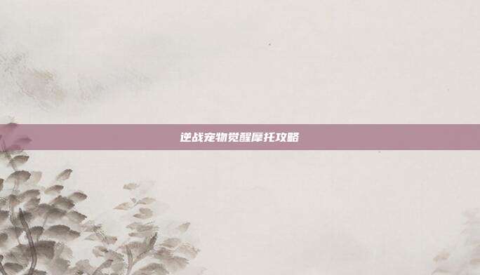 逆战宠物觉醒摩托攻略