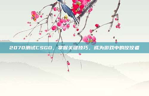 2070测试CSGO，掌握关键技巧，成为游戏中的佼佼者