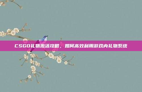 CSGO礼物激活攻略，如何高效利用游戏内礼物系统