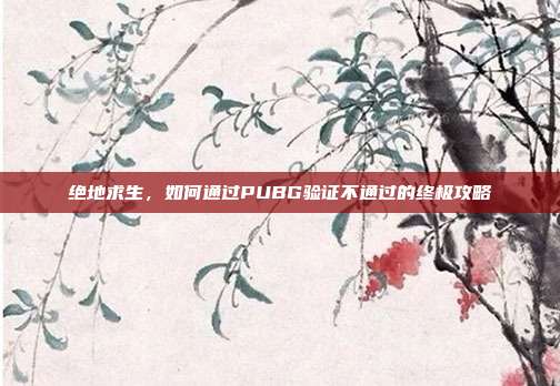 绝地求生，如何通过PUBG验证不通过的终极攻略