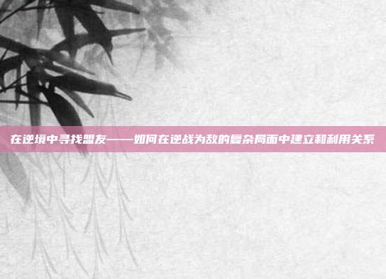 在逆境中寻找盟友——如何在逆战为敌的复杂局面中建立和利用关系