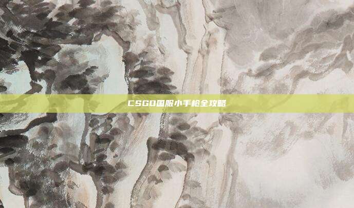 CSGO国服小手枪全攻略