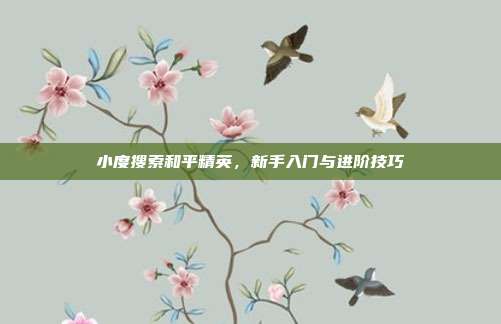 小度搜索和平精英,新手入门与进阶技巧