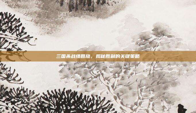 三国杀战绩回放，揭秘胜利的关键策略