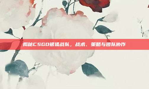 揭秘CSGO银狐战队,战术、策略与团队协作