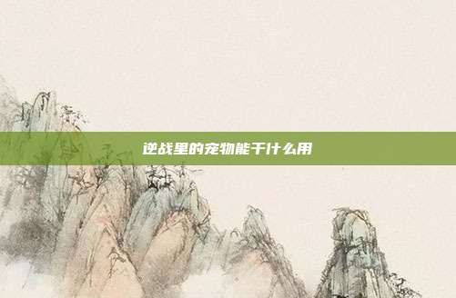 逆战里的宠物能干什么用