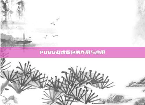 PUBG战术背包的作用与应用