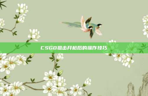 CSGO狙击开枪后的操作技巧