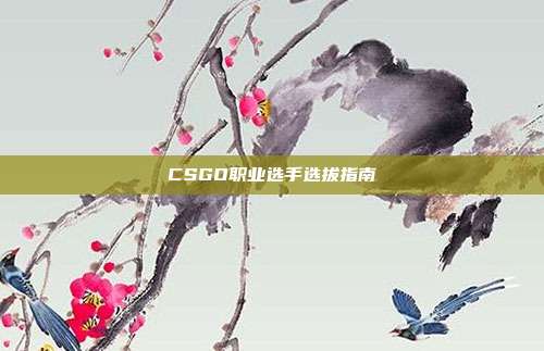 CSGO职业选手选拔指南