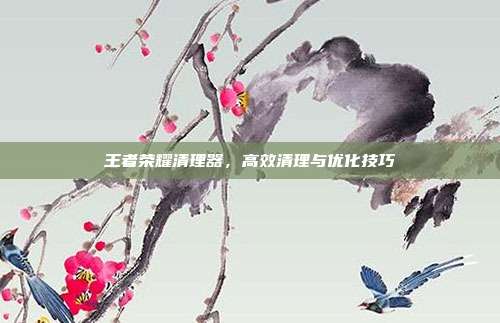 王者荣耀清理器,高效清理与优化技巧