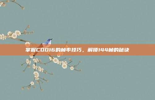 掌握COD16的帧率技巧,解锁144帧的秘诀