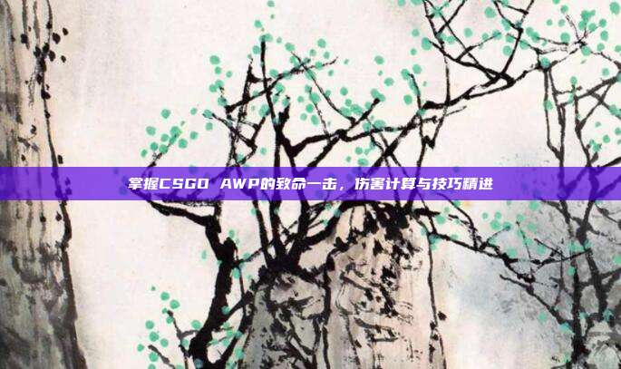 掌握CSGO AWP的致命一击,伤害计算与技巧精进
