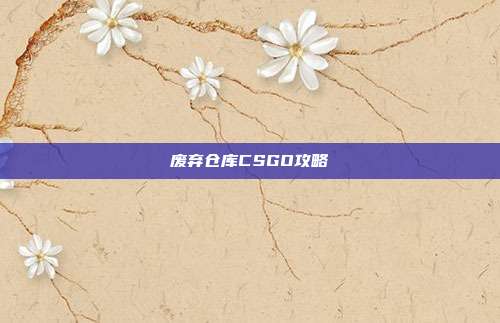 废弃仓库CSGO攻略