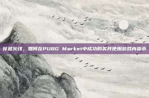 穿越火线,如何在PUBG Market中成功购买并使用游戏内货币