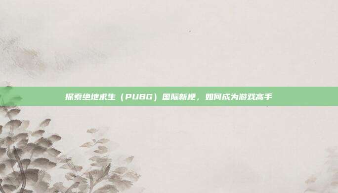探索绝地求生（PUBG）国际新梗，如何成为游戏高手