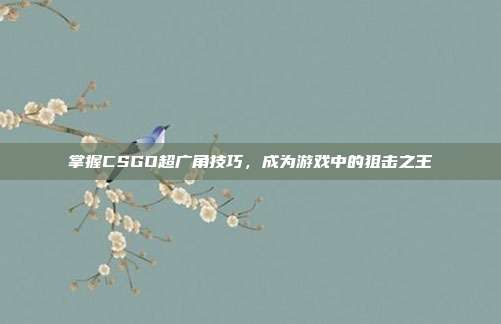 掌握CSGO超广角技巧,成为游戏中的狙击之王
