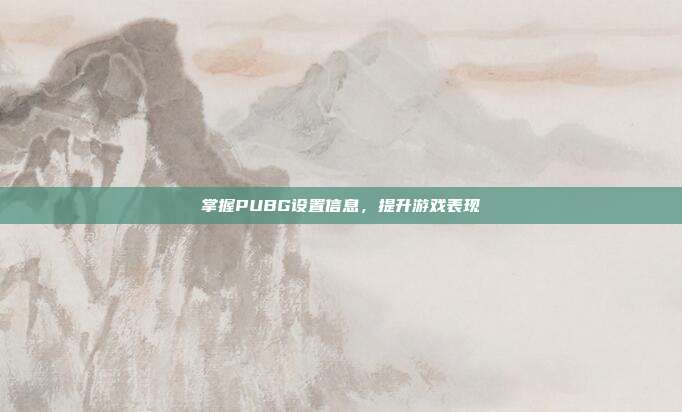 掌握PUBG设置信息,提升游戏表现