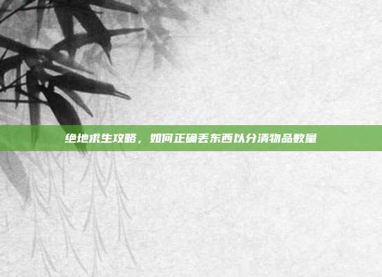 绝地求生攻略，如何正确丢东西以分清物品数量