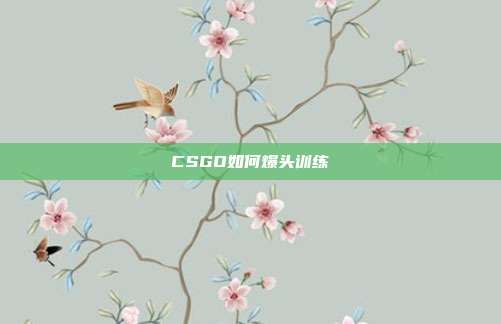 CSGO如何爆头训练