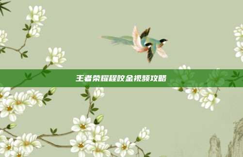 王者荣耀程咬金视频攻略