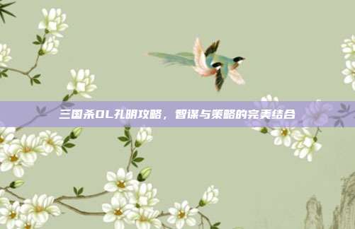 三国杀OL孔明攻略，智谋与策略的完美结合