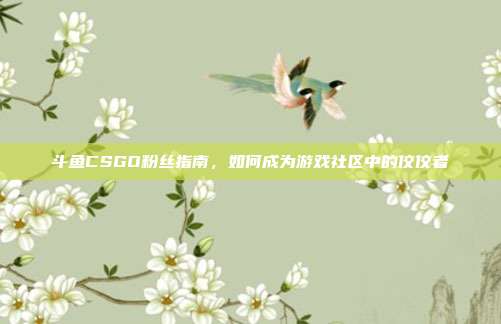 斗鱼CSGO粉丝指南,如何成为游戏社区中的佼佼者