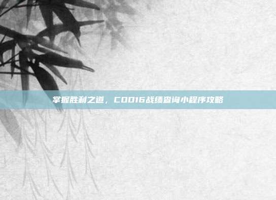 掌握胜利之道,COD16战绩查询小程序攻略