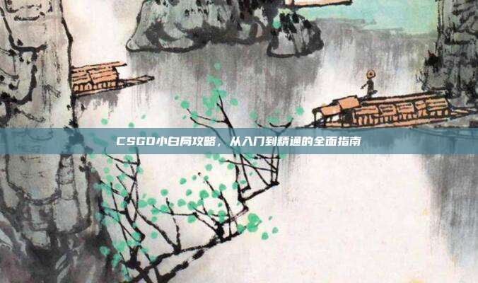 CSGO小白局攻略,从入门到精通的全面指南