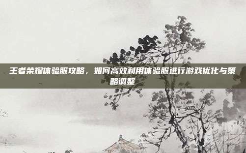 王者荣耀体验服攻略,如何高效利用体验服进行游戏优化与策略调整