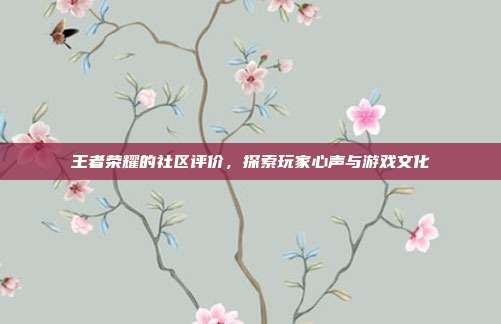 王者荣耀的社区评价，探索玩家心声与游戏文化