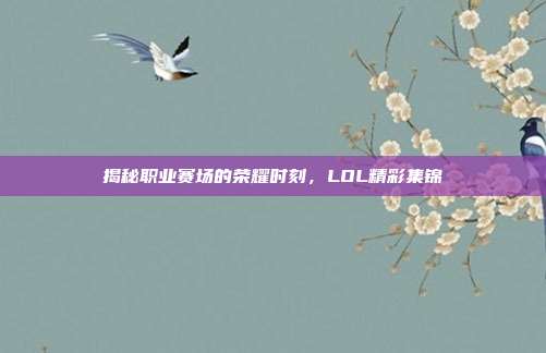 揭秘职业赛场的荣耀时刻,LOL精彩集锦